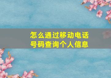 怎么通过移动电话号码查询个人信息