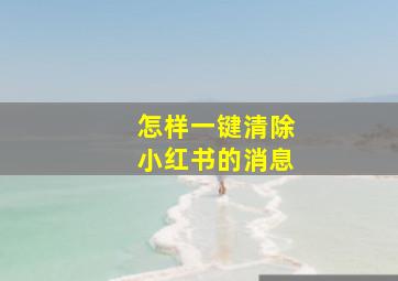 怎样一键清除小红书的消息