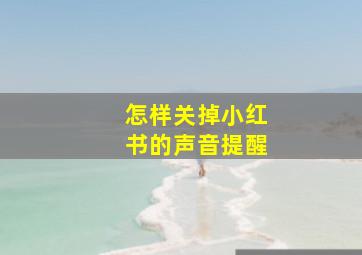 怎样关掉小红书的声音提醒