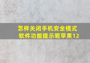 怎样关闭手机安全模式软件功能提示呢苹果12