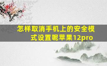 怎样取消手机上的安全模式设置呢苹果12pro