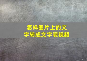 怎样图片上的文字转成文字呢视频