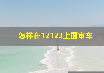 怎样在12123上面审车