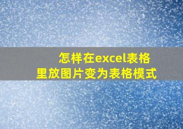 怎样在excel表格里放图片变为表格模式