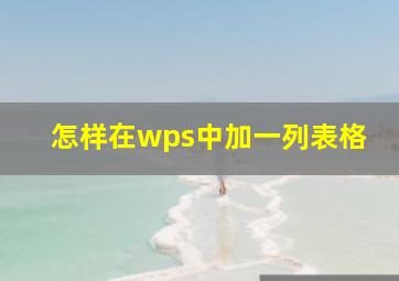 怎样在wps中加一列表格