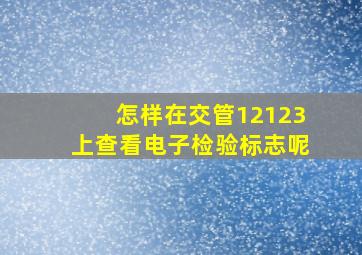 怎样在交管12123上查看电子检验标志呢