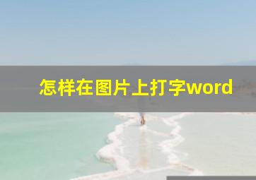 怎样在图片上打字word