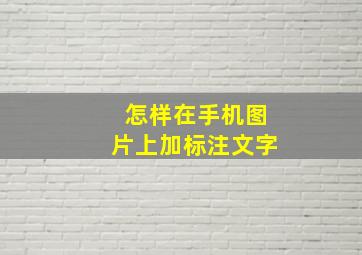 怎样在手机图片上加标注文字