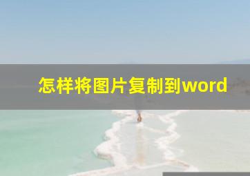 怎样将图片复制到word