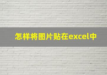 怎样将图片贴在excel中