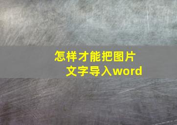 怎样才能把图片文字导入word