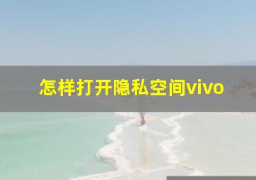 怎样打开隐私空间vivo