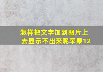 怎样把文字加到图片上去显示不出来呢苹果12