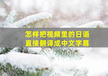 怎样把视频里的日语直接翻译成中文字幕