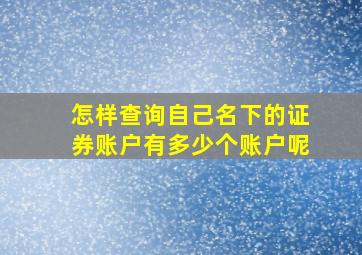 怎样查询自己名下的证券账户有多少个账户呢