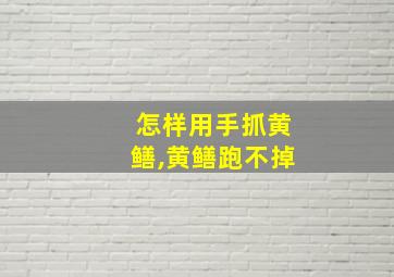 怎样用手抓黄鳝,黄鳝跑不掉