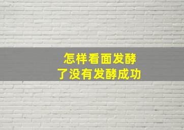 怎样看面发酵了没有发酵成功