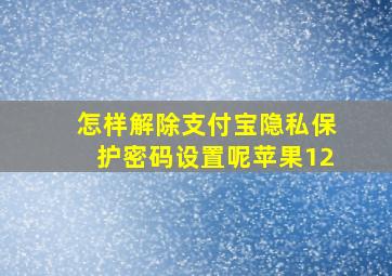 怎样解除支付宝隐私保护密码设置呢苹果12