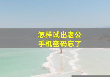 怎样试出老公手机密码忘了