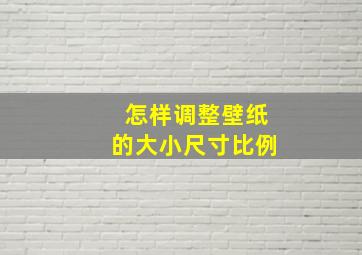 怎样调整壁纸的大小尺寸比例