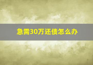 急需30万还债怎么办