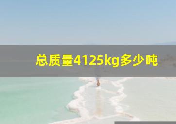 总质量4125kg多少吨