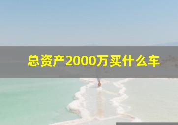 总资产2000万买什么车