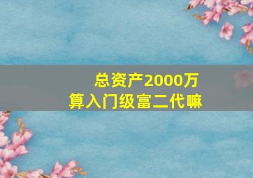 总资产2000万算入门级富二代嘛