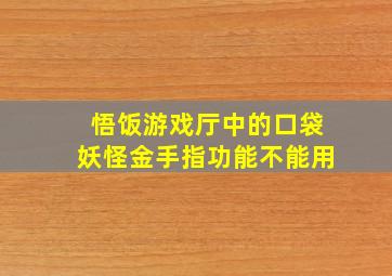 悟饭游戏厅中的口袋妖怪金手指功能不能用