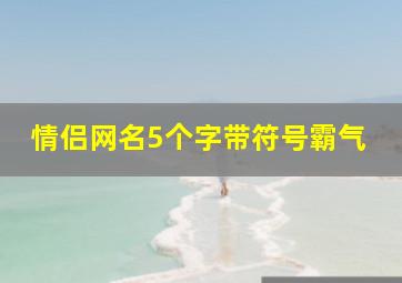 情侣网名5个字带符号霸气