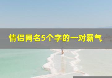 情侣网名5个字的一对霸气