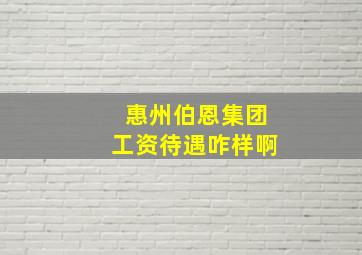 惠州伯恩集团工资待遇咋样啊