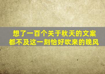 想了一百个关于秋天的文案都不及这一刻恰好吹来的晚风