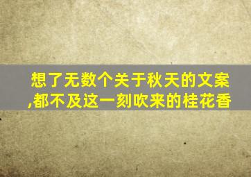 想了无数个关于秋天的文案,都不及这一刻吹来的桂花香