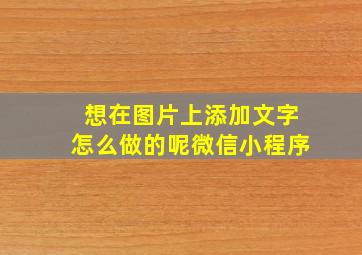 想在图片上添加文字怎么做的呢微信小程序