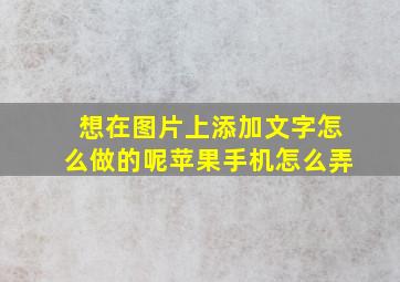 想在图片上添加文字怎么做的呢苹果手机怎么弄