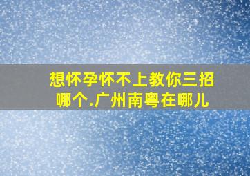 想怀孕怀不上教你三招哪个.广州南粤在哪儿