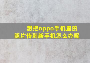 想把oppo手机里的照片传到新手机怎么办呢