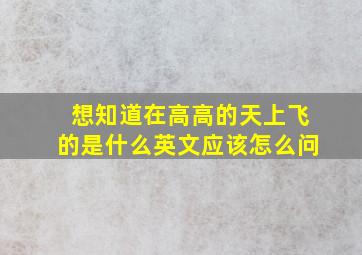 想知道在高高的天上飞的是什么英文应该怎么问