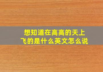 想知道在高高的天上飞的是什么英文怎么说