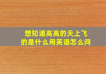 想知道高高的天上飞的是什么用英语怎么问