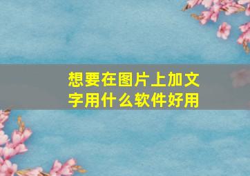 想要在图片上加文字用什么软件好用