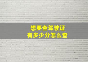 想要查驾驶证有多少分怎么查