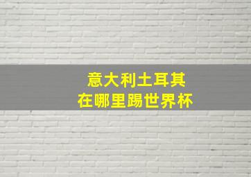 意大利土耳其在哪里踢世界杯