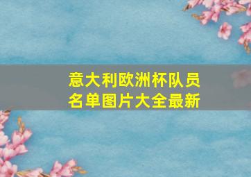 意大利欧洲杯队员名单图片大全最新