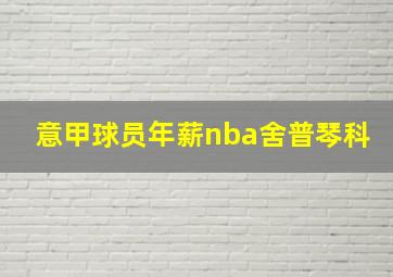 意甲球员年薪nba舍普琴科