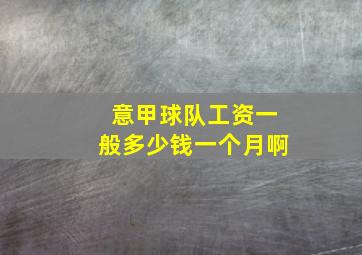 意甲球队工资一般多少钱一个月啊