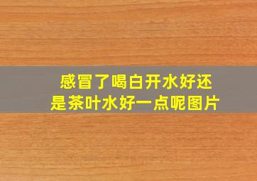 感冒了喝白开水好还是茶叶水好一点呢图片