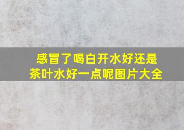 感冒了喝白开水好还是茶叶水好一点呢图片大全