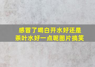 感冒了喝白开水好还是茶叶水好一点呢图片搞笑